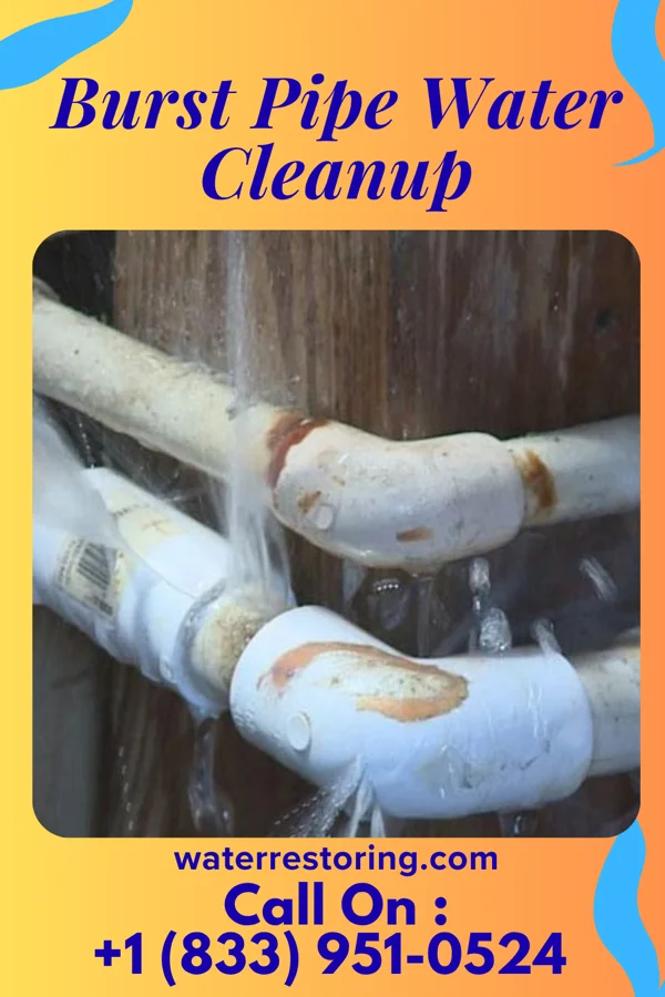 Burst Pipe Water Cleanup in Milan, MI