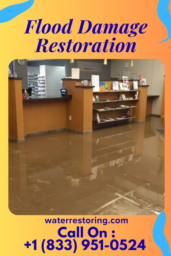 Flood Damage Restoration in Milan, MI