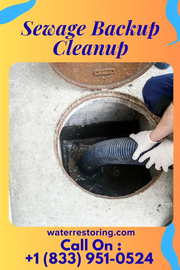 Sewage Backup Cleanup in Milan, MI
